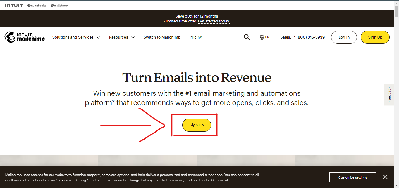 What are the Important features of Mailchimp?